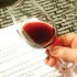 DEGUSTATION A SOUSSAC LE 07/04/16 DEGUSTATION A SOUSSAC LE 07/04/16