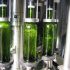 ENJEUX DE LA MISE EN BOUTEILLES ENJEUX DE LA MISE EN BOUTEILLES